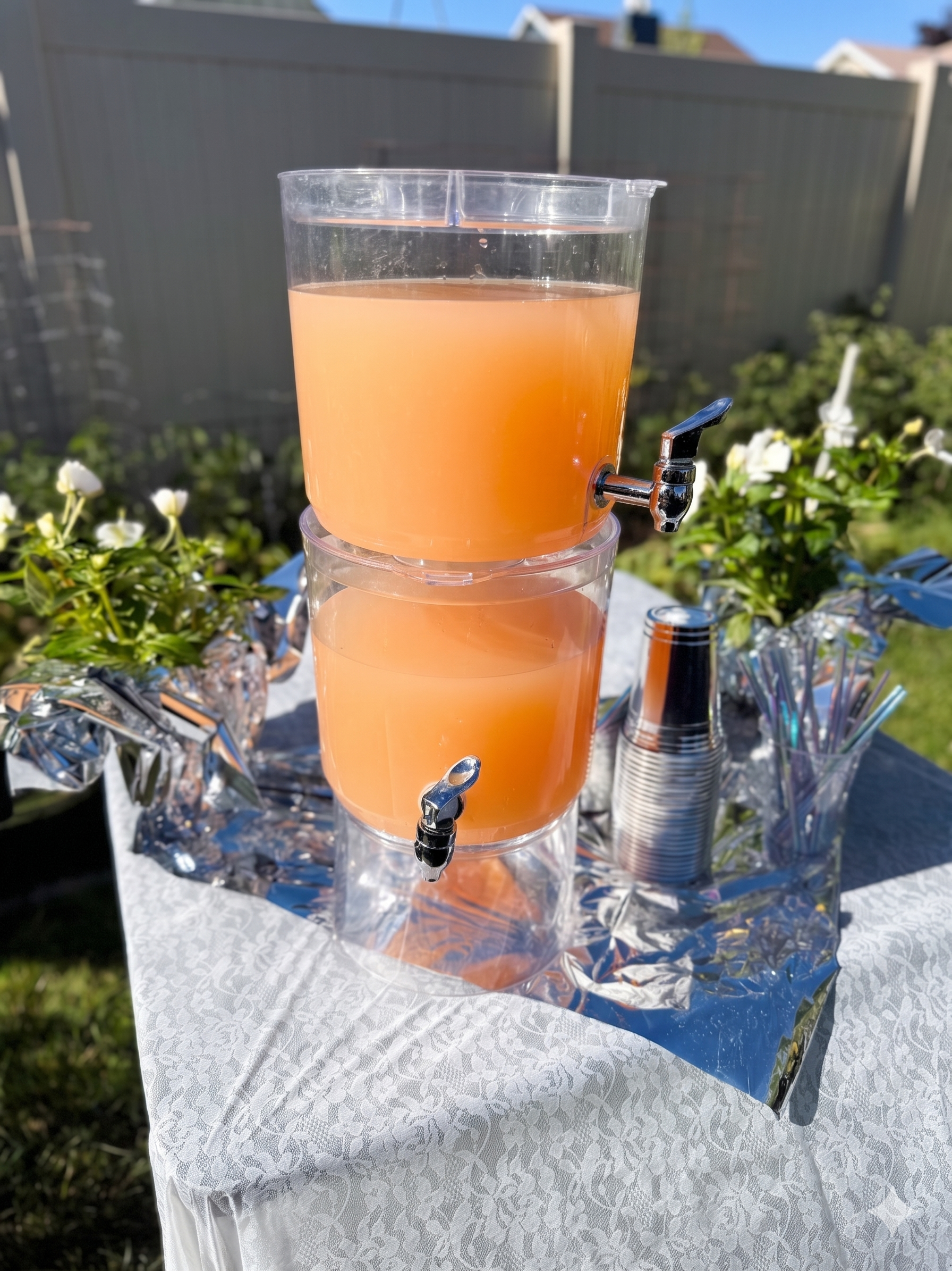 Fresh Lemonade